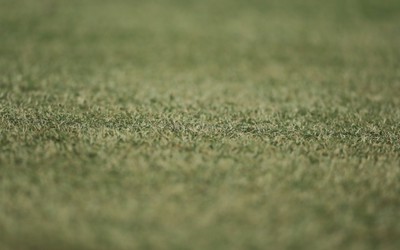 Mặt cỏ sân Mỹ Đình xấu nhất trong số các sân tổ chức AFF Cup 2022?