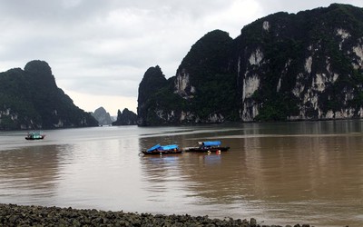 Quảng Ninh: Làm rõ dải nước màu đỏ đục xuất hiện trên vịnh Hạ Long