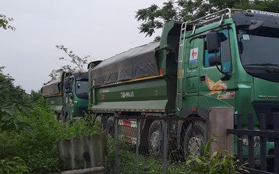 Vi phạm chở quá tải, một công ty vận tải ở Huế xin giảm phạt