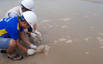 Nước biển đổi màu lạ, bọt đặc sệt bất thường ở Huế: Lấy mẫu phân tích