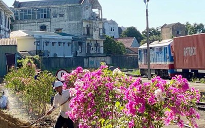 CSGT chung tay khoác “áo hoa” dọc tuyến đường sắt ở Huế