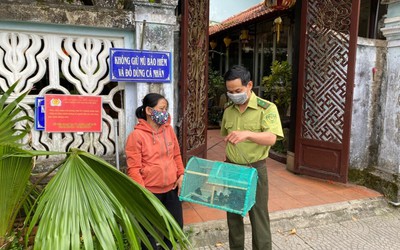 Thừa Thiên-Huế cấm bán chim trời để phóng sinh trước cửa chùa