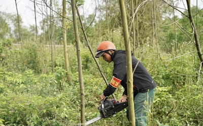 Dự án công viên có vườn thú ở Huế sẽ được xây dựng thế nào?