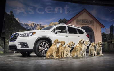 SUV Subaru Ascent 2019 ra mắt, cạnh tranh trực tiếp Ford Explorer