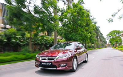 Honda Accord và Odyssey tại Việt Nam bị triệu hồi