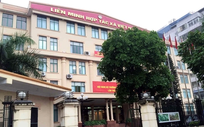 Đảng đoàn Liên minh HTX Việt Nam vi phạm các nguyên tắc của Đảng