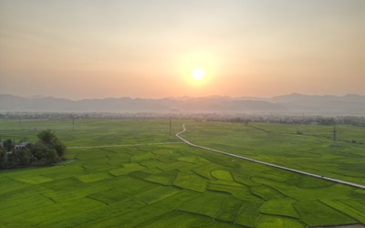 Tìm đường "lên đời" cho hạt gạo Mường Thanh