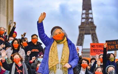 Hội Luật gia Dân chủ Quốc tế gửi thư ngỏ tới Tòa phúc thẩm Paris vụ kiện chất độc da cam của bà Trần Tố Nga