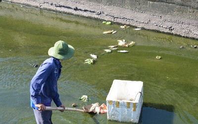 Quảng Nam: Dân lo lắng trước tình trạng cá chết hàng loạt tại hồ Nguyễn Du