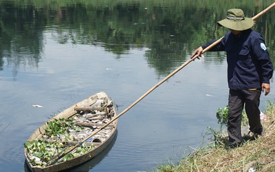 Đà Nẵng: Người dân đóng cửa, "trốn" mùi hôi từ cá chết hàng loạt