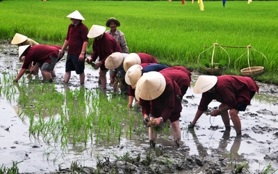 10 năm xây dựng Nông thôn mới ở Duyên hải Nam Trung bộ và Tây Nguyên: Huy động 20 ngàn tỷ đồng từ vốn của dân