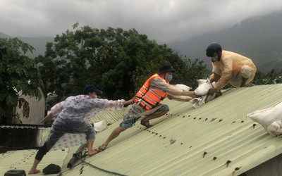 Đà Nẵng: Mưa như trút nước, 60.000 người dân hối hả sơ tán trước giờ bão vào