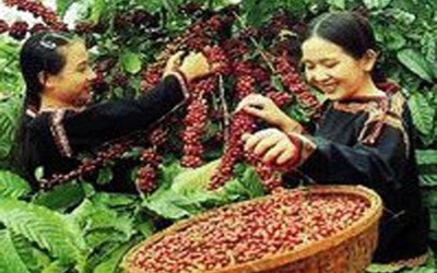 Giá nông sản ngày 5/6: Hồ tiêu thiết lập đỉnh mới, gạo trong nước tăng nhẹ