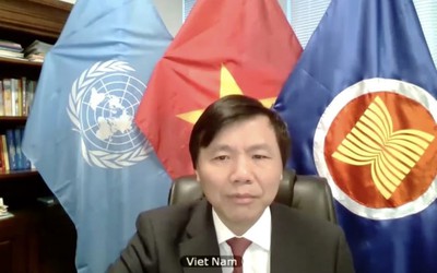 Việt Nam đánh giá cao và ủng hộ hoạt động của Phái bộ Gìn giữ hòa bình tại Nam Sudan