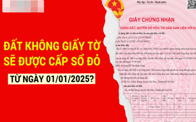 Những loại đất không giấy tờ nào sẽ được cấp sổ đỏ từ 1/1/2025?