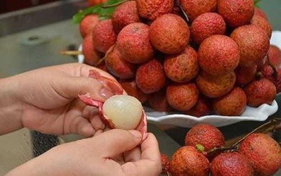 Những ai không nên ăn vải?