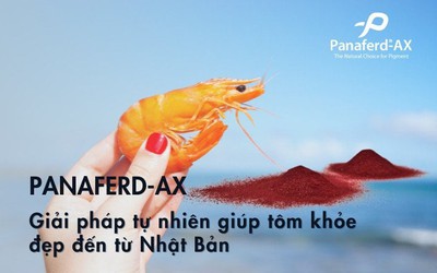 Panaferd-AX - Giải pháp tự nhiên giúp tôm khỏe đẹp đến từ Nhật Bản