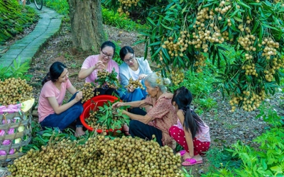 Những đặc sản ăn một lần "nhớ mãi" khi về Hưng Yên