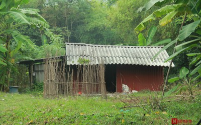 Xót xa cuộc sống hai mẹ con bị tâm thần sống trong ngôi nhà giữa rừng hoang vắng