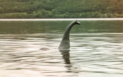 Thợ săn tuyên bố quái vật hồ Loch Ness có thể là 2 quái thú riêng lẻ dựa trên đoạn phim mới