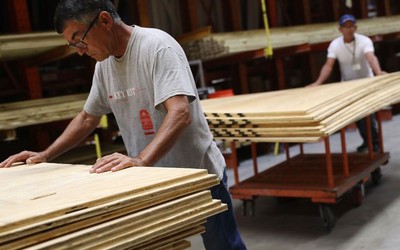 Các chuyên gia tìm ra cách biến gỗ cứng như thép