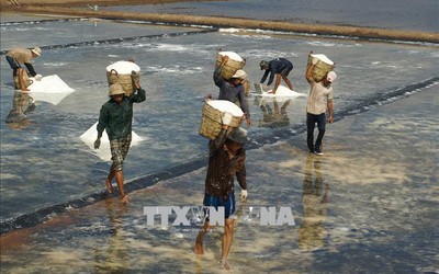 Giá muối tăng cao, diêm dân vẫn lao đao