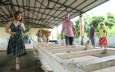 Dư luận dậy sóng, việc chó Nhật vào vai “Cậu Vàng” của Lão Hạc