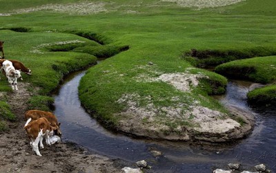 Những điều thú vị về con sông hẹp nhất thế giới có thể bạn chưa biết