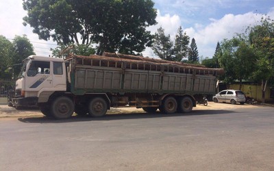 Đắk Lắk: Bộ Công an bắt vụ phá rừng lớn tại vườn Quốc gia Yok Đôn