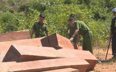 Bắt tạm giam bốn cán bộ để lâm tặc vào rừng khai thác gỗ trái phép