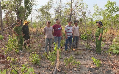 Nhóm đối tượng rủ nhau vào rừng hủy hoại gần 2ha chiếm đất làm nương rẫy