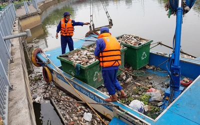 Cá chết trắng kênh Nhiêu Lộc- Thị Nghè, đâu là nguyên nhân?