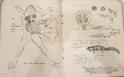 Quyển vở Sinh học hơn 60 năm trước khiến dân mạng "ngả mũ thán phục"