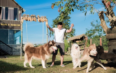 Chàng trai bán hàng rong thành tỷ phú nhờ nuôi chó trên đất cao nguyên