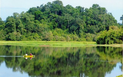 Những "báu vật" vô giá khiến thế giới ngỡ ngàng ở vườn Quốc gia Cát Tiên