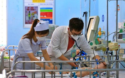 Tp.HCM: Số ca tử vong vì sốt xuất huyết cao kỷ lục trong 10 năm qua