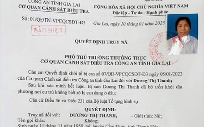 Truy nã cụ bà 73 tuổi vay 19 tỷ đồng rồi bỏ trốn