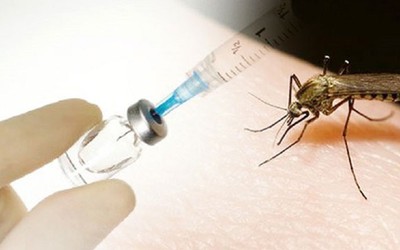 Việt Nam sẽ tham gia tiêm thử nghiệm vắc-xin sốt xuất huyết