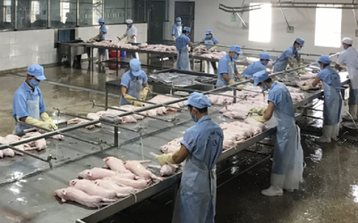 Xuất khẩu thịt và sản phẩm thịt tăng mạnh trong quý III/2023