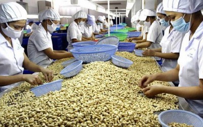 11 tháng, xuất khẩu hạt điều của Việt Nam thu về 3,31 tỷ USD