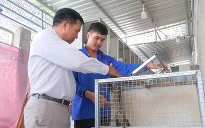 Anh nông dân kiếm 100 triệu/tháng nhờ nuôi con “thích ăn chuối, ham ăn cá đồng”