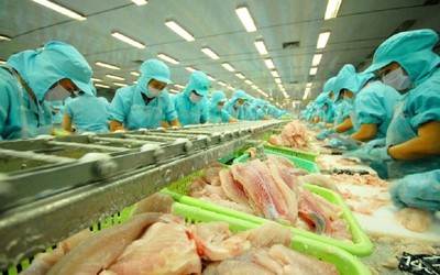 Giá xuất khẩu cá tra dự báo tăng 10% trong quý 3/2024