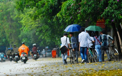 Dự báo thời tiết ngày 25/8/2020: Miền Bắc không khí mát mẻ, dễ chịu