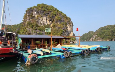 Hải Phòng: Người nuôi cá ở Cát Bà không bị “ép” phải đóng lồng bè HDPE