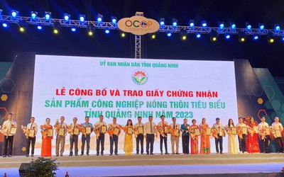 Quảng Ninh: Khai trương sàn thương mại điện tử OCOP