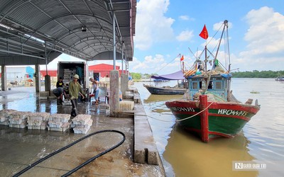 Hải Phòng: Được mùa tép biển, ngư dân kiếm tiền triệu mỗi ngày