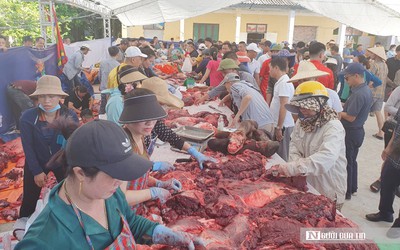 Hải Phòng: Thịt trâu chọi Đồ Sơn được “hét giá” 3,5 triệu đồng/kg