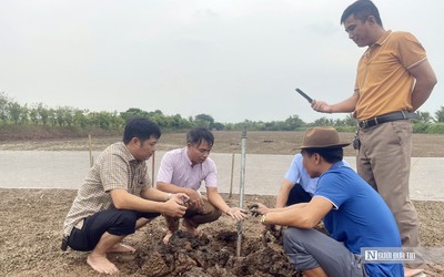 Nông dân Hải Phòng thu tiền tỷ mỗi năm nhờ nuôi rươi sinh sản