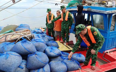 Quảng Ninh: Bắt giữ 7 tàu cá dùng ngư cụ cấm khai thác thủy sản