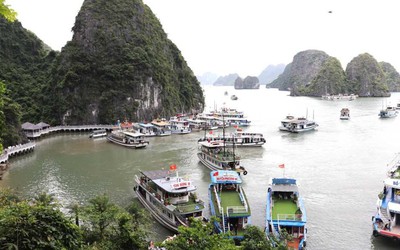 Quảng Ninh: Tạm ngừng cấp phép cho tàu ra khơi từ 15h ngày 19/10